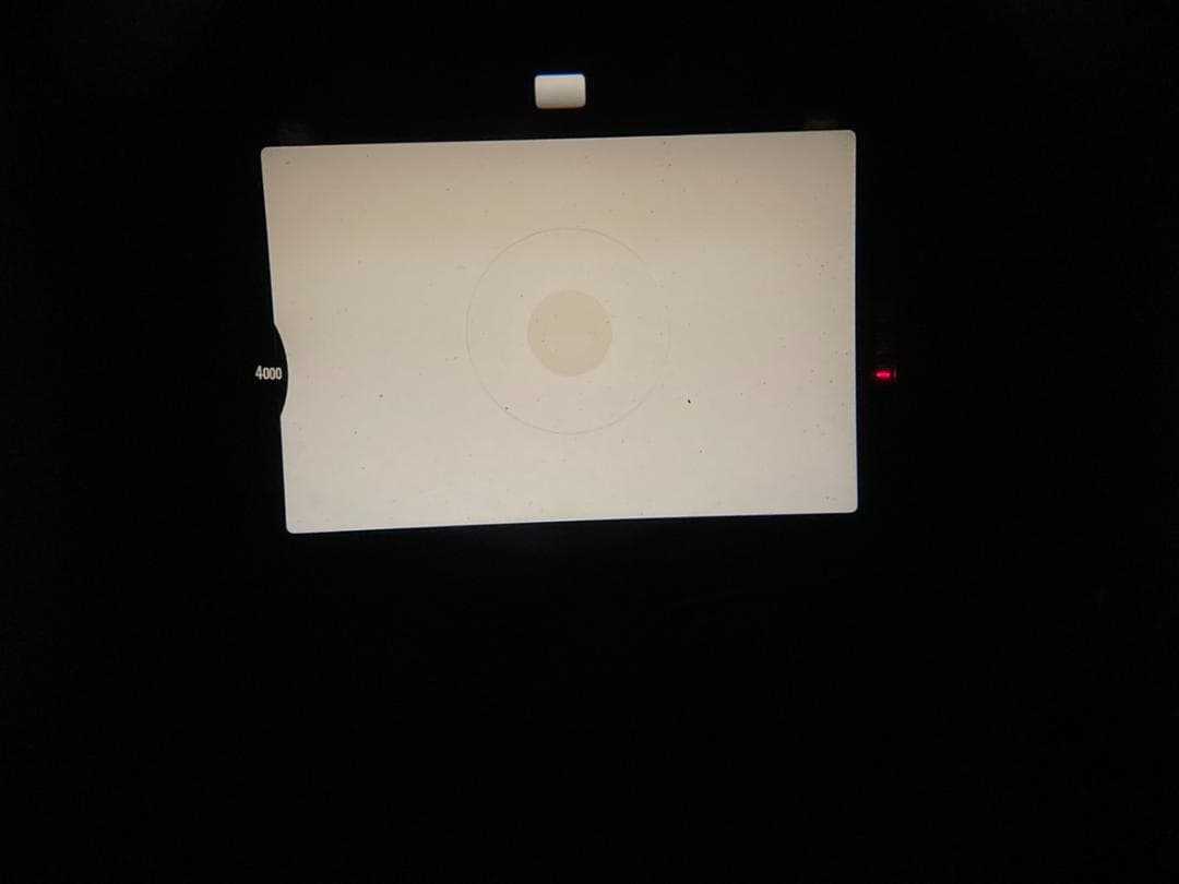 ニコン Nikon NEW FM2 ブラック カメラ ボディー