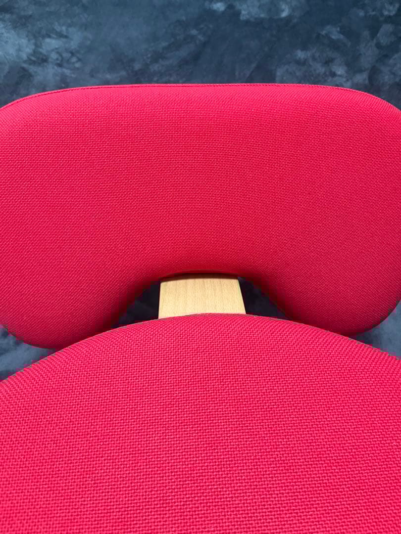 バランスラボ、サカモトハウス　バランスチェア　バランスイージー　カバー付き