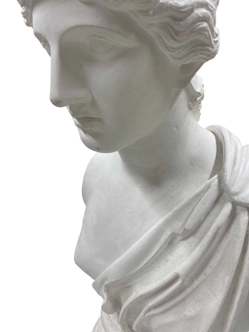 アマゾン胸像　石膏像