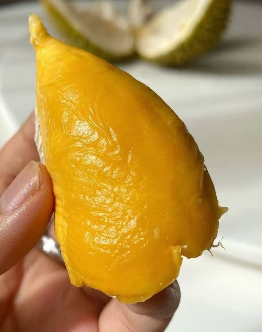 タイ産新鮮ドリアン2個