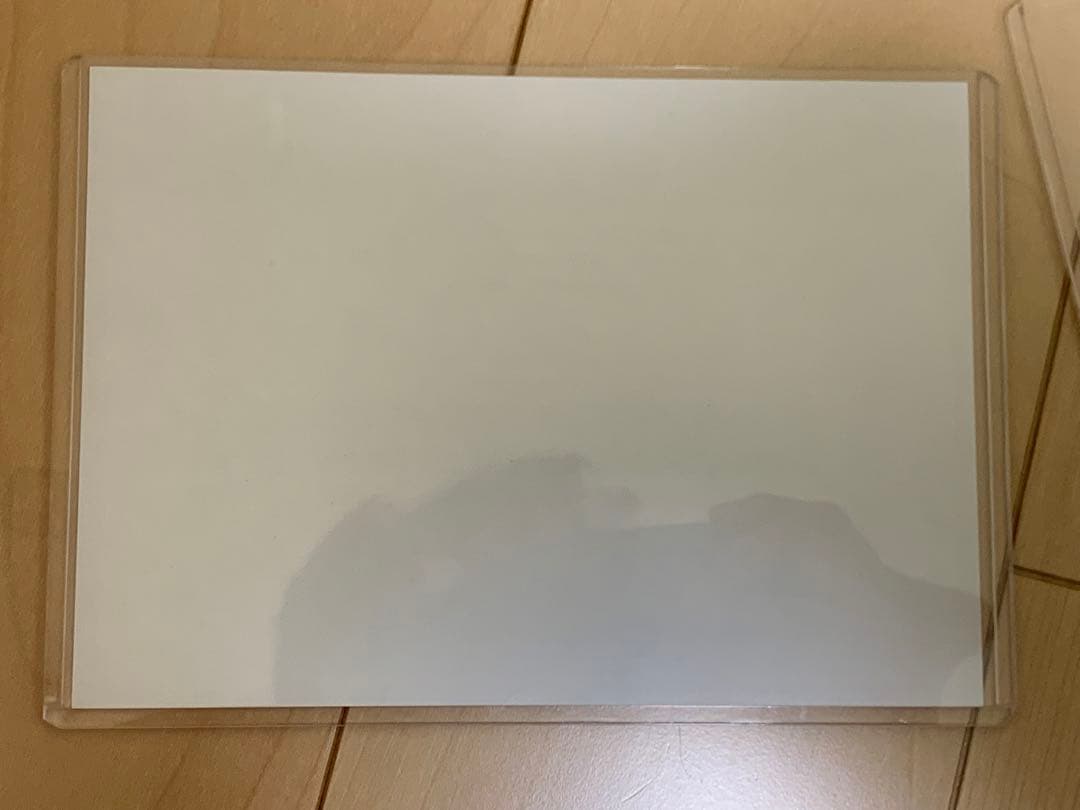 【匿名配送】真紅眼の黒竜 プリズマティックシークレットレア 当選通知書付き