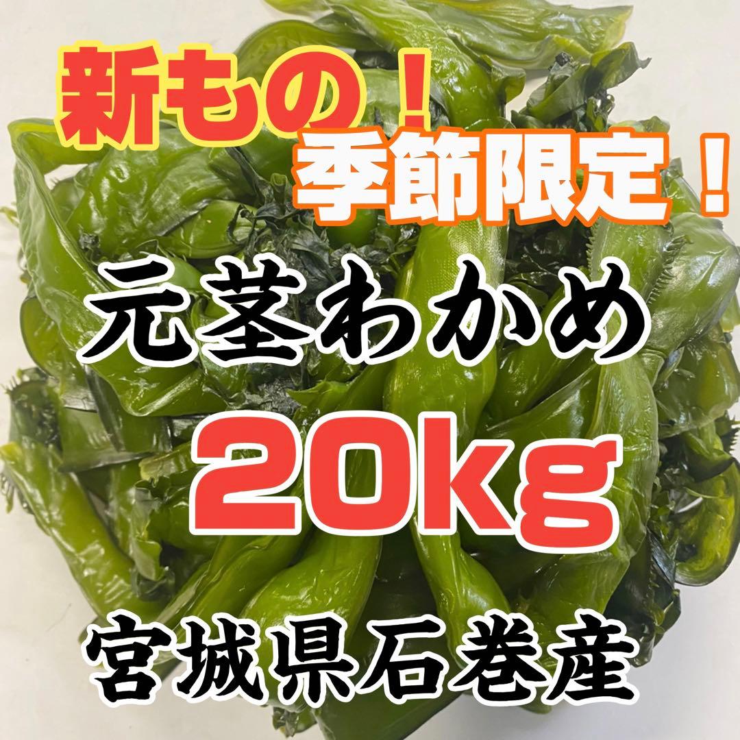 元茎わかめ　宮城県石巻産　新もの！