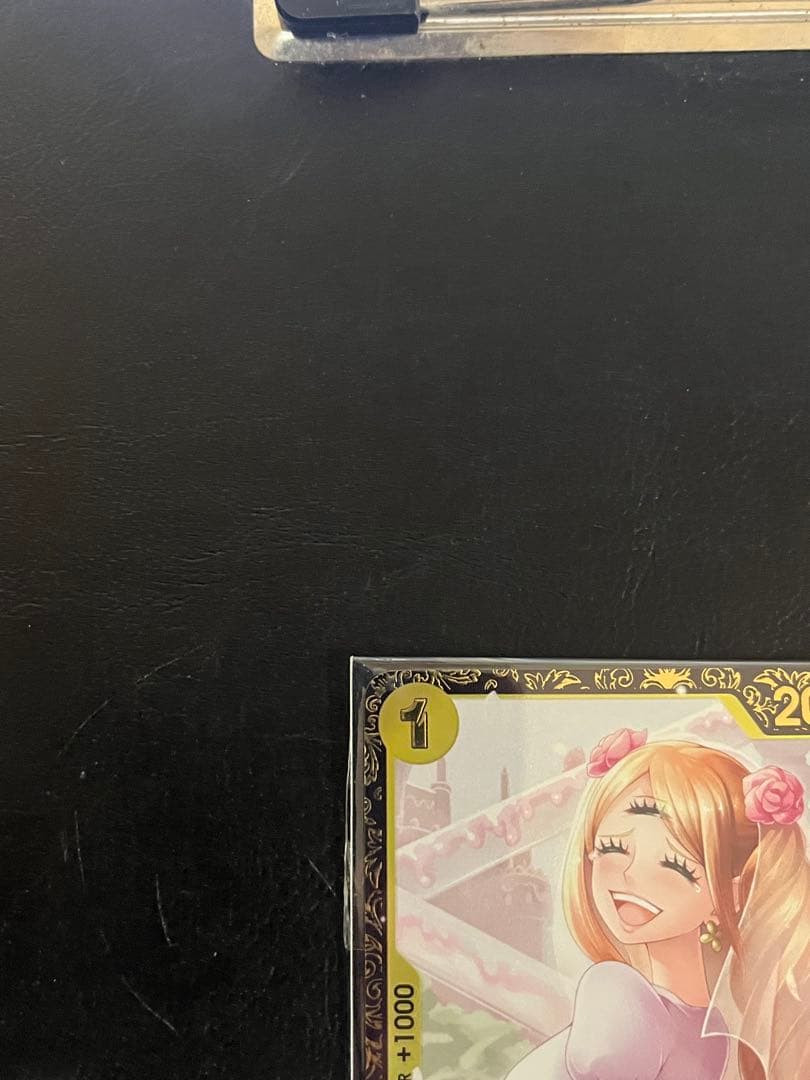 あんしん鑑定付！希少　英語　シャーロット・プリン　チャンピオンシップ2024