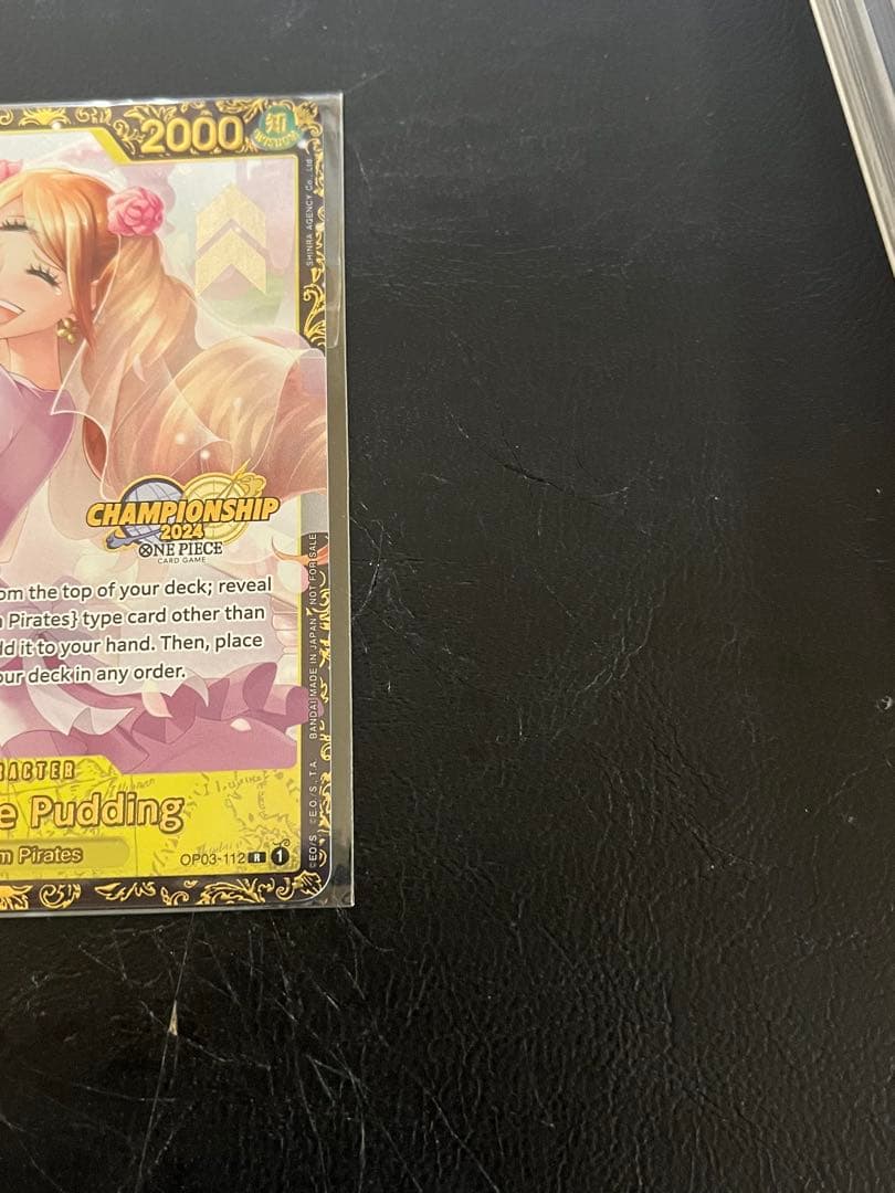 あんしん鑑定付！希少　英語　シャーロット・プリン　チャンピオンシップ2024