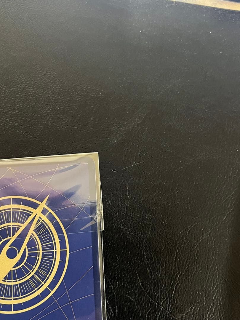 あんしん鑑定付！希少　英語　シャーロット・プリン　チャンピオンシップ2024