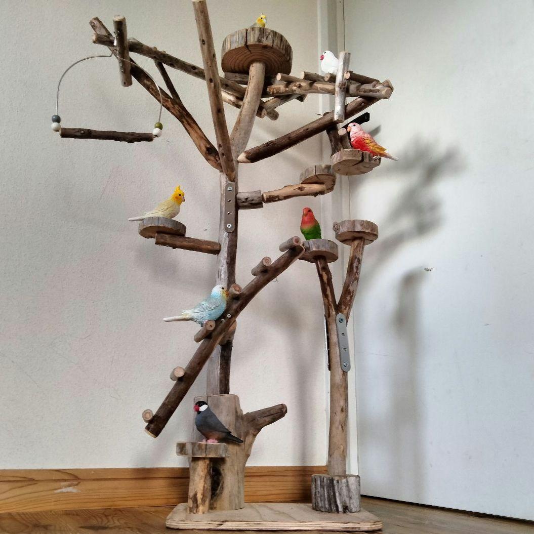 バードアスレチックジム㊼ 天然木 自然木 流木 止まり木 インコ