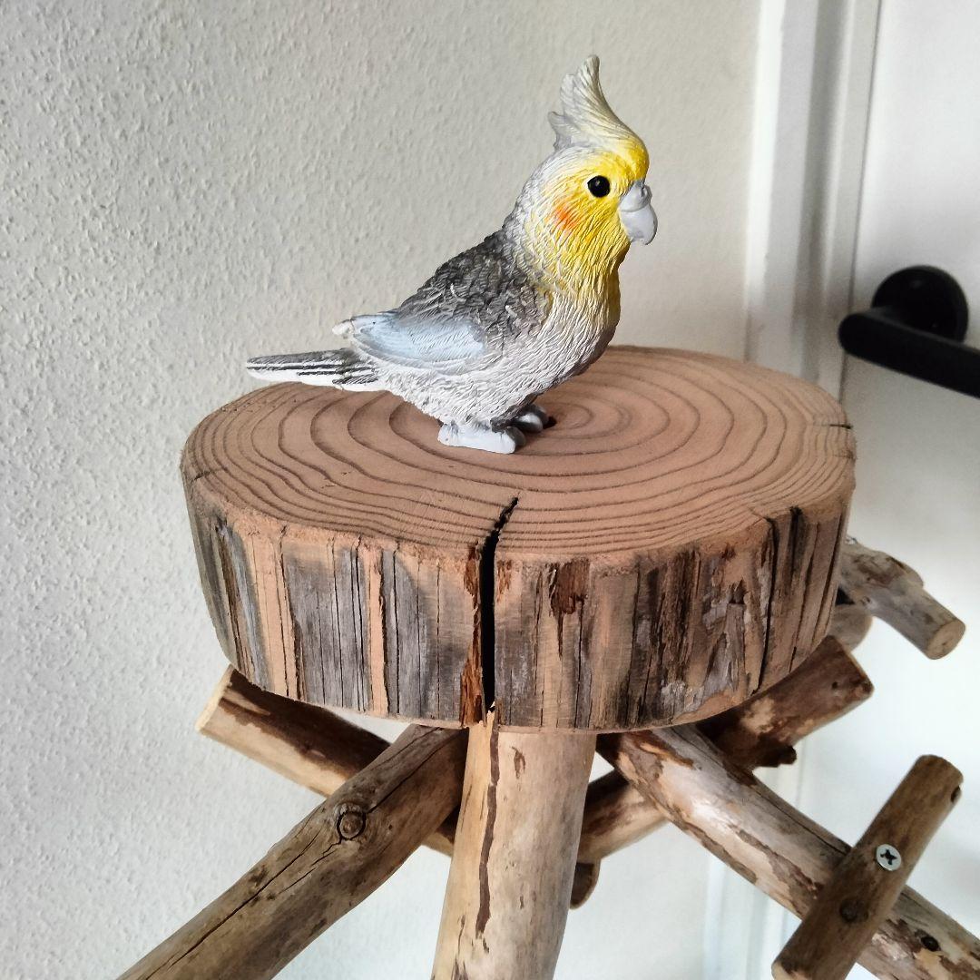 バードアスレチックジム㊼ 天然木 自然木 流木 止まり木 インコ