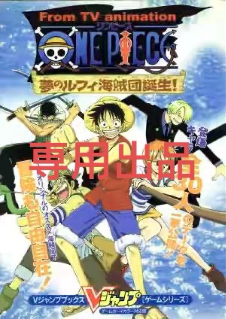 専用出品 ナミ 1枚