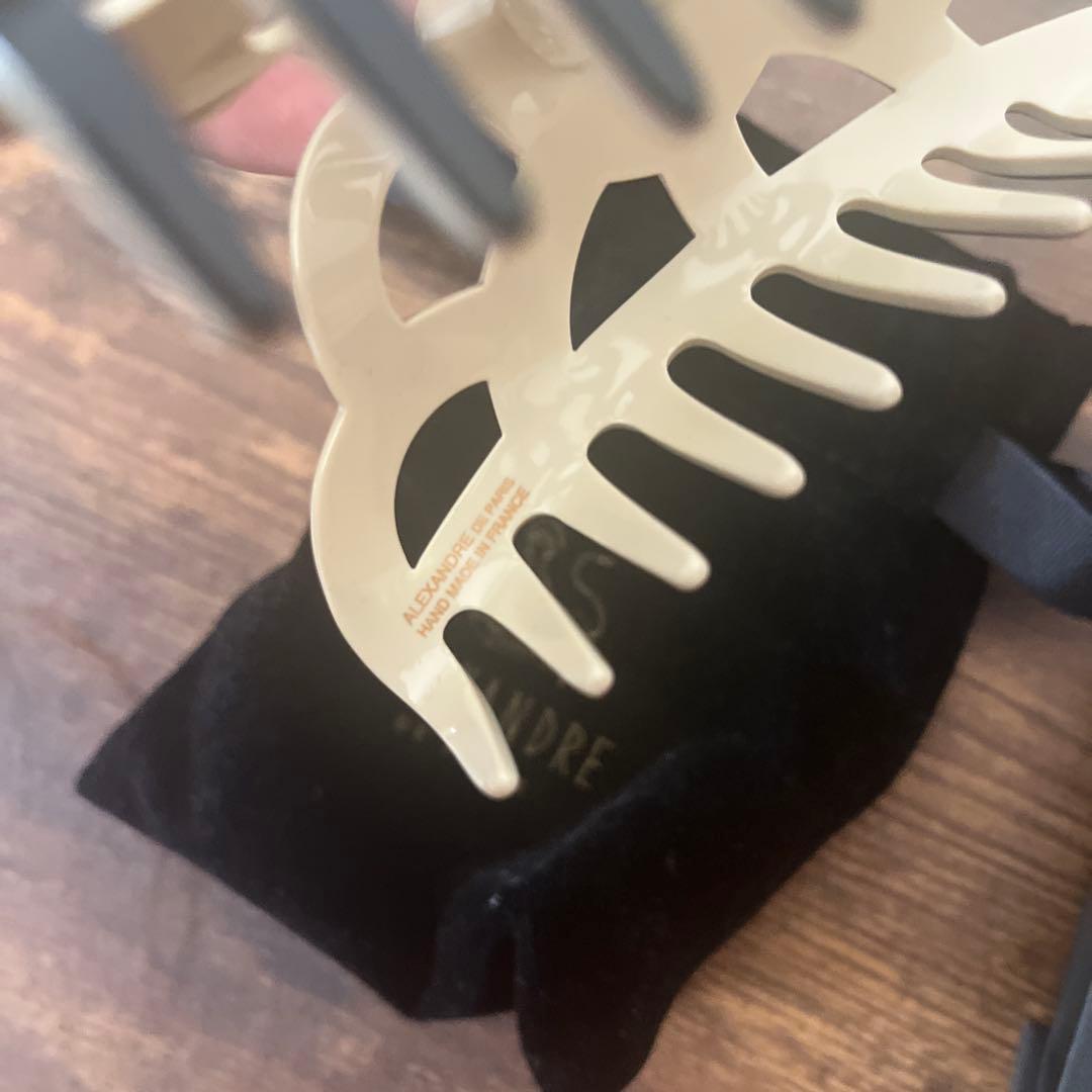 も*も様 ALEXANDRE DE PARIS ヘアクリップ LISERAI