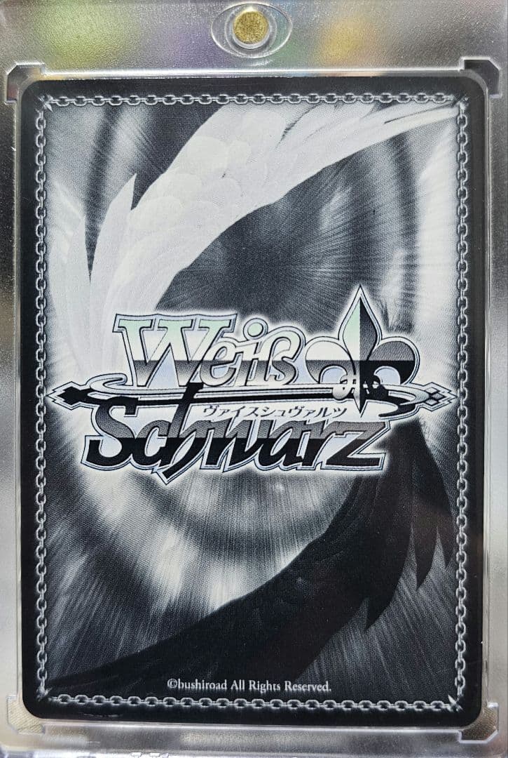 ティモリス　ssp