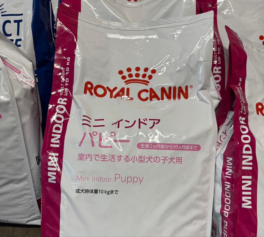 ロイヤルカナン　ミニインドアパピー　10kg 在庫ラスト