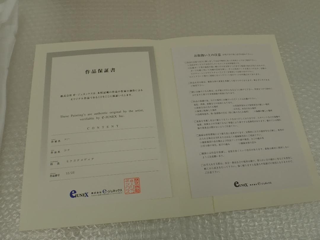 ⑪新品・保証書付 Tony トニー「シーナ」ミクスドメディア　アールビバン