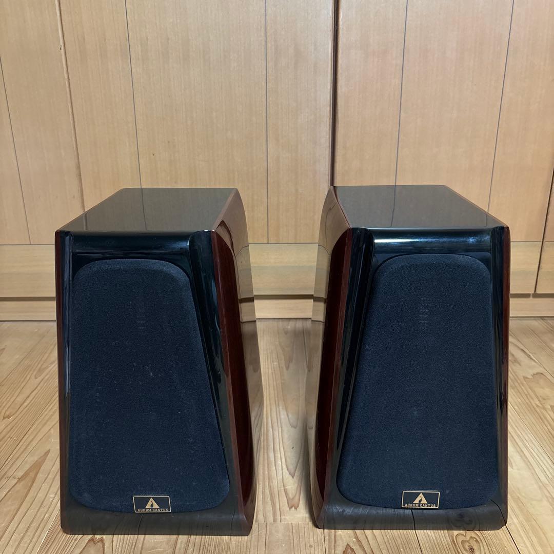 スピーカー・ウーファー AURUM CANTUS LEISURE2 se