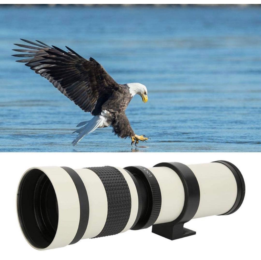 ママさんカメラ初心者でもOK！サポート充実！Nikon一眼レフをお持ちの方に！！