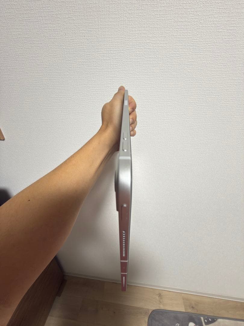 Apple iPad Pro 11インチ (M4) 256GB 美品