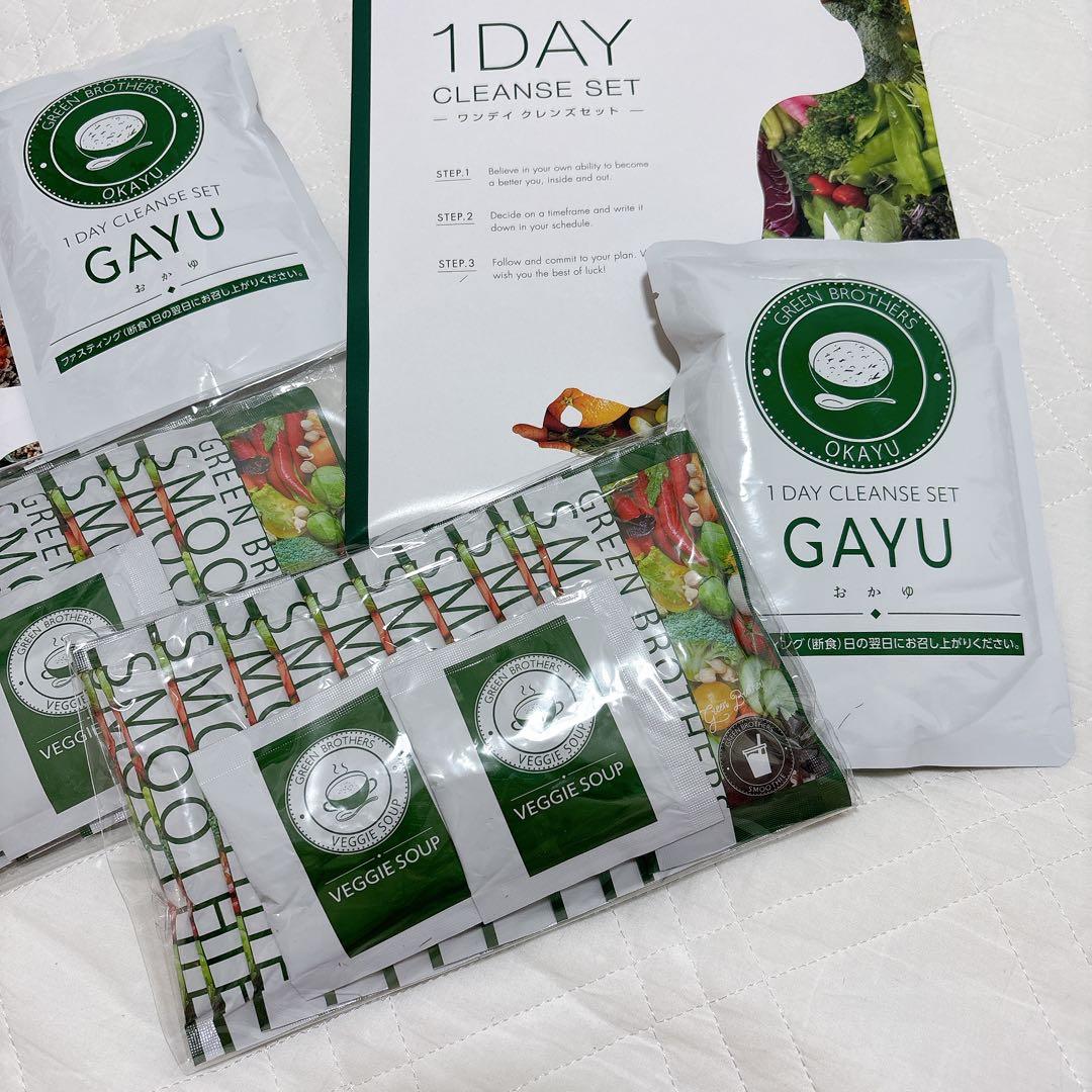 ワンデイクレンズ ファスティング グリーンブラザーズ