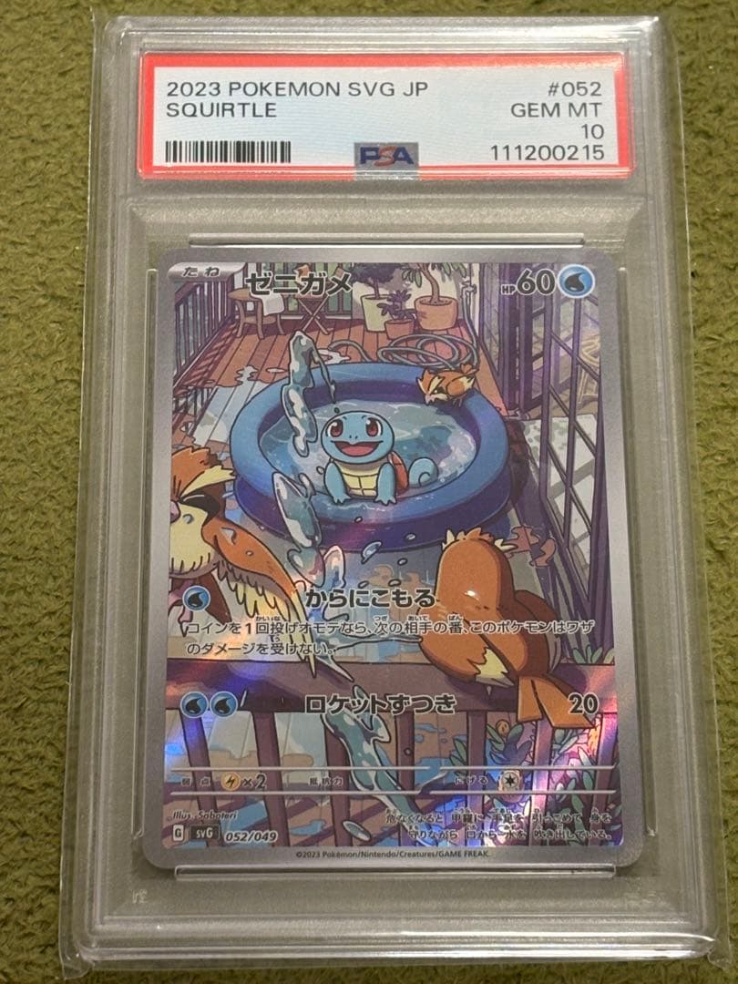 ゼニガメ AR PSA10