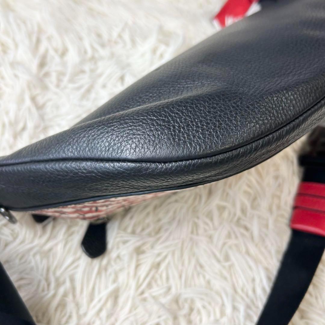 美品 コーチ ディズニー キースヘリング コラボ ウエストバッグ ボディバッグ