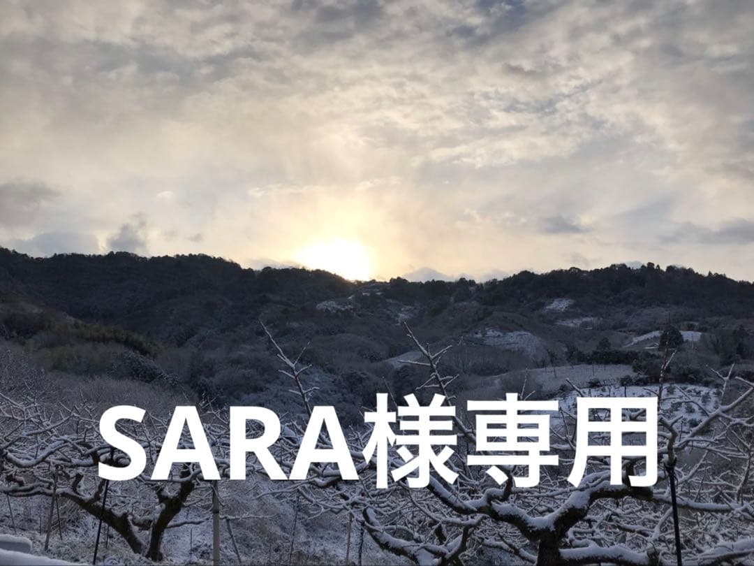 SARA　和田果樹園の果物　10キロ