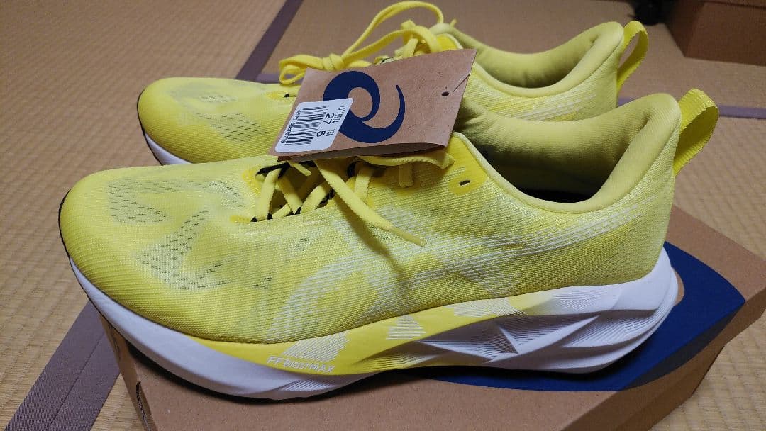 ASICS　ノヴァブラスト５　 27.5㎝　新品、未使用