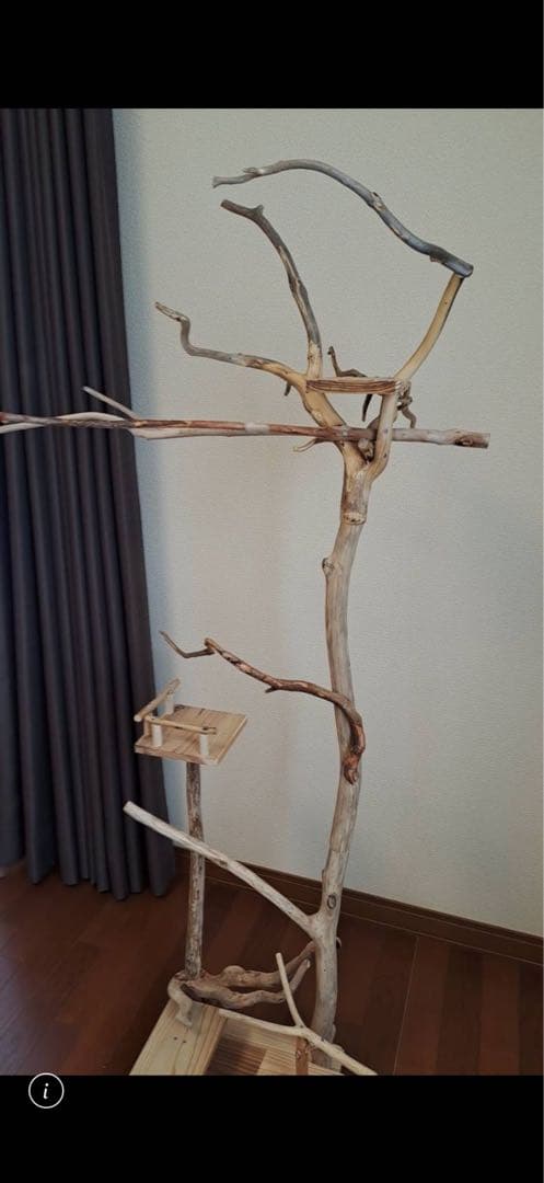 ぴあ　グッズ整理中さま