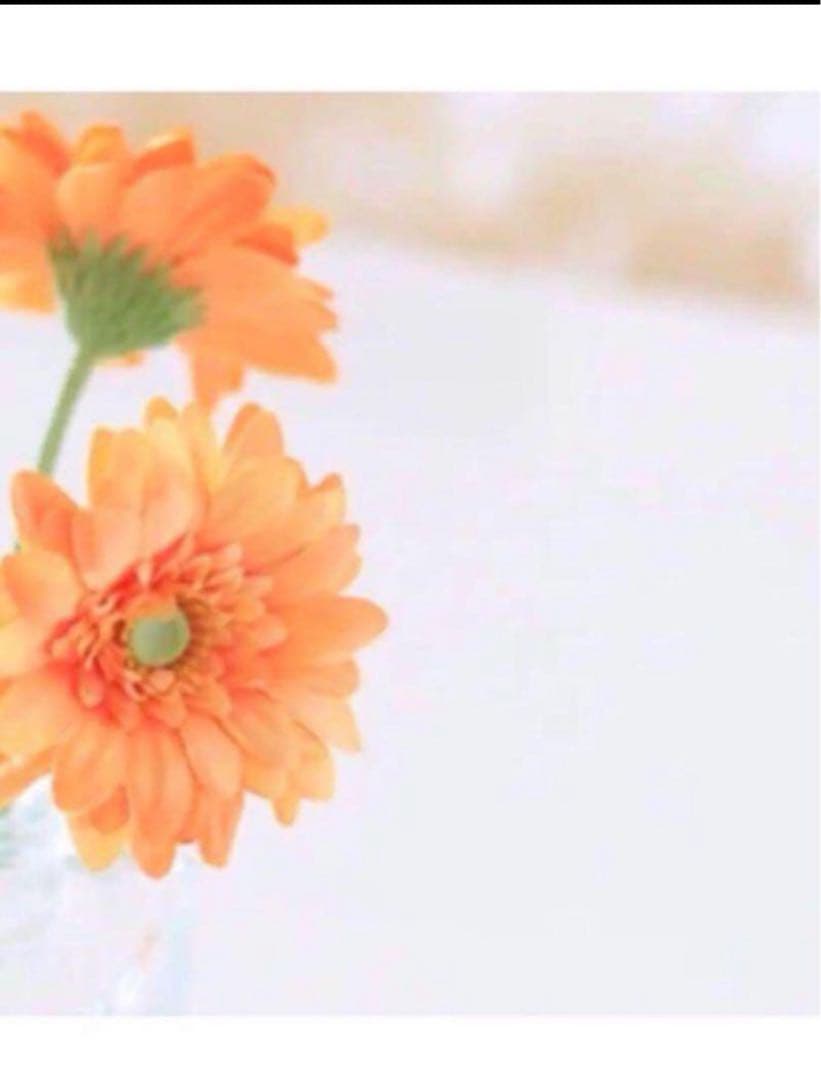 Kadu コラゲリード エクストラソープ