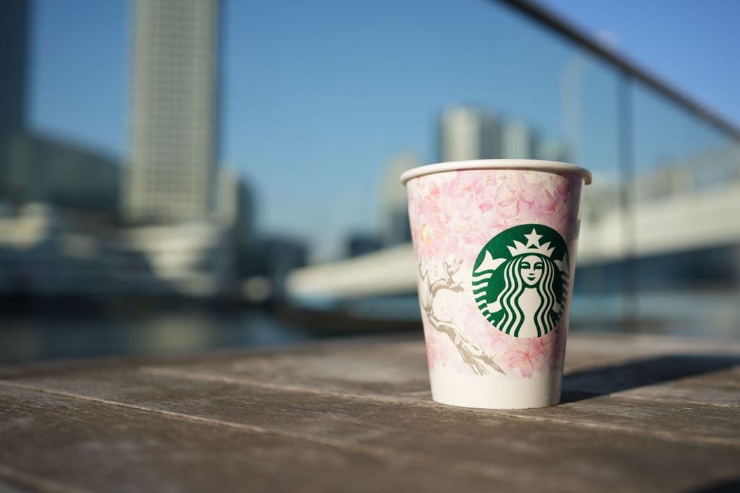 【保護フィルター付き】SONY FE 35mm F1.8 単焦点レンズ