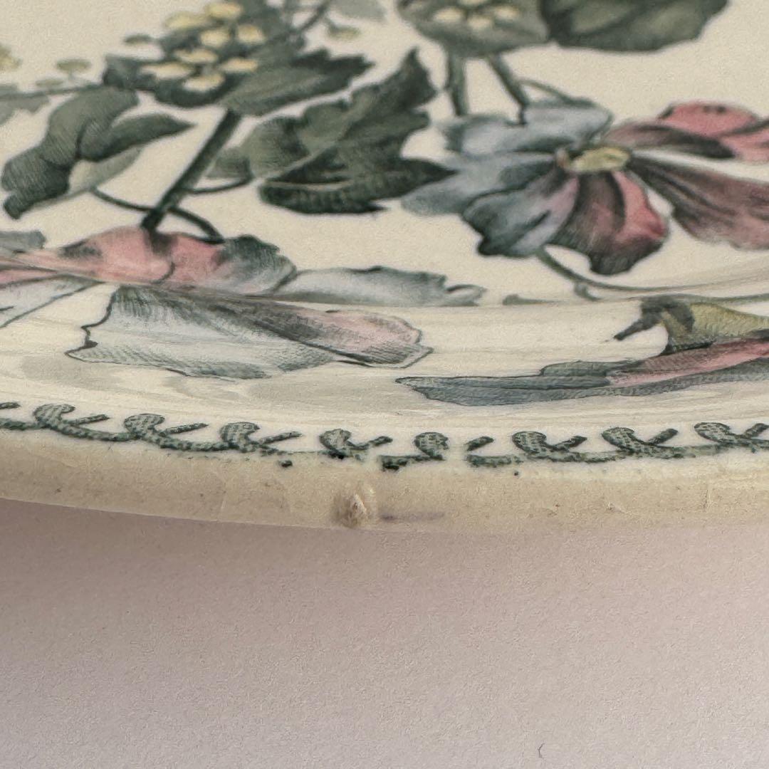 希少　フランスアンティーク　ジョワジールロワ　切り花　デザート