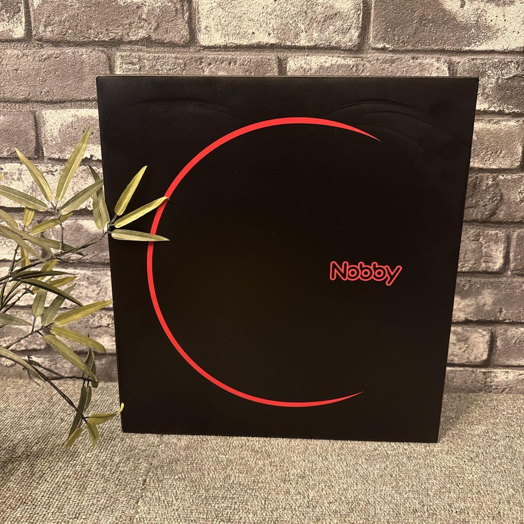 Nobby NB4100 マイナスイオンヘアドライヤー 黒