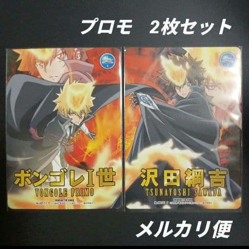 家庭教師ヒットマン　リボーンCCG　ボンゴレI世 沢田綱吉　2枚セット