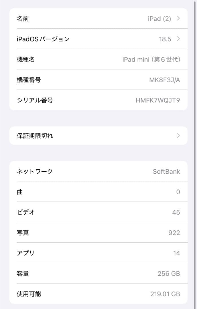 iPad mini 第6世代　256GB セルラーモデル）＋付属品セット
