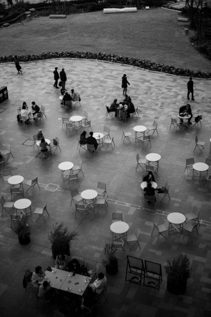 【超美品】 leica summilux 50mm f1.4 第１世代後期