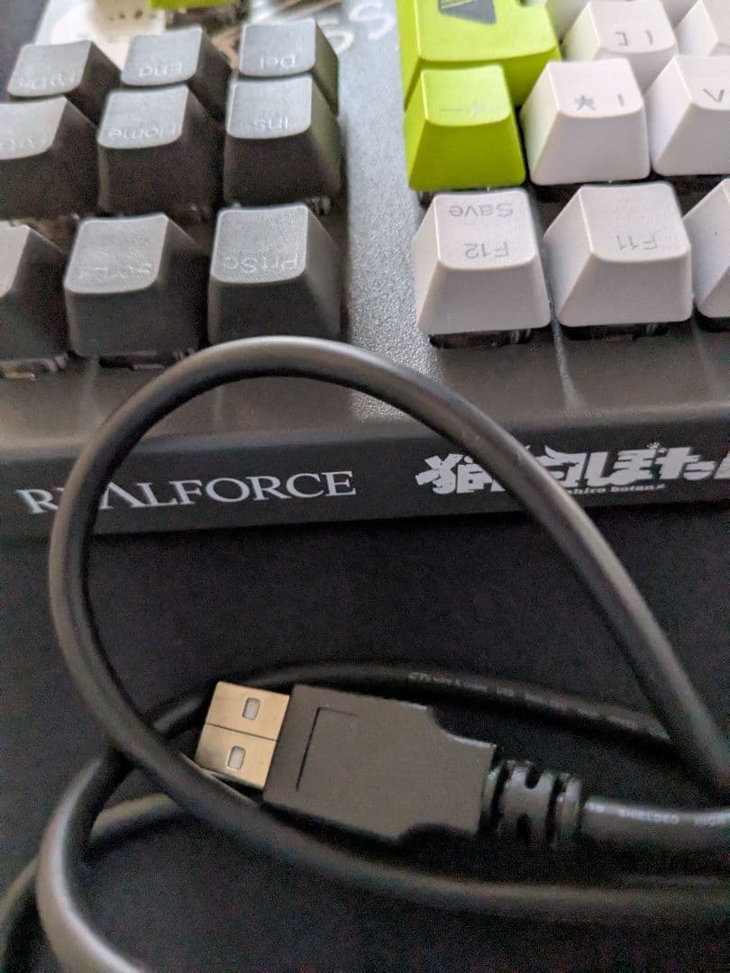 リアルフォース REALFORCE GX1 獅白ぼたん コラボ