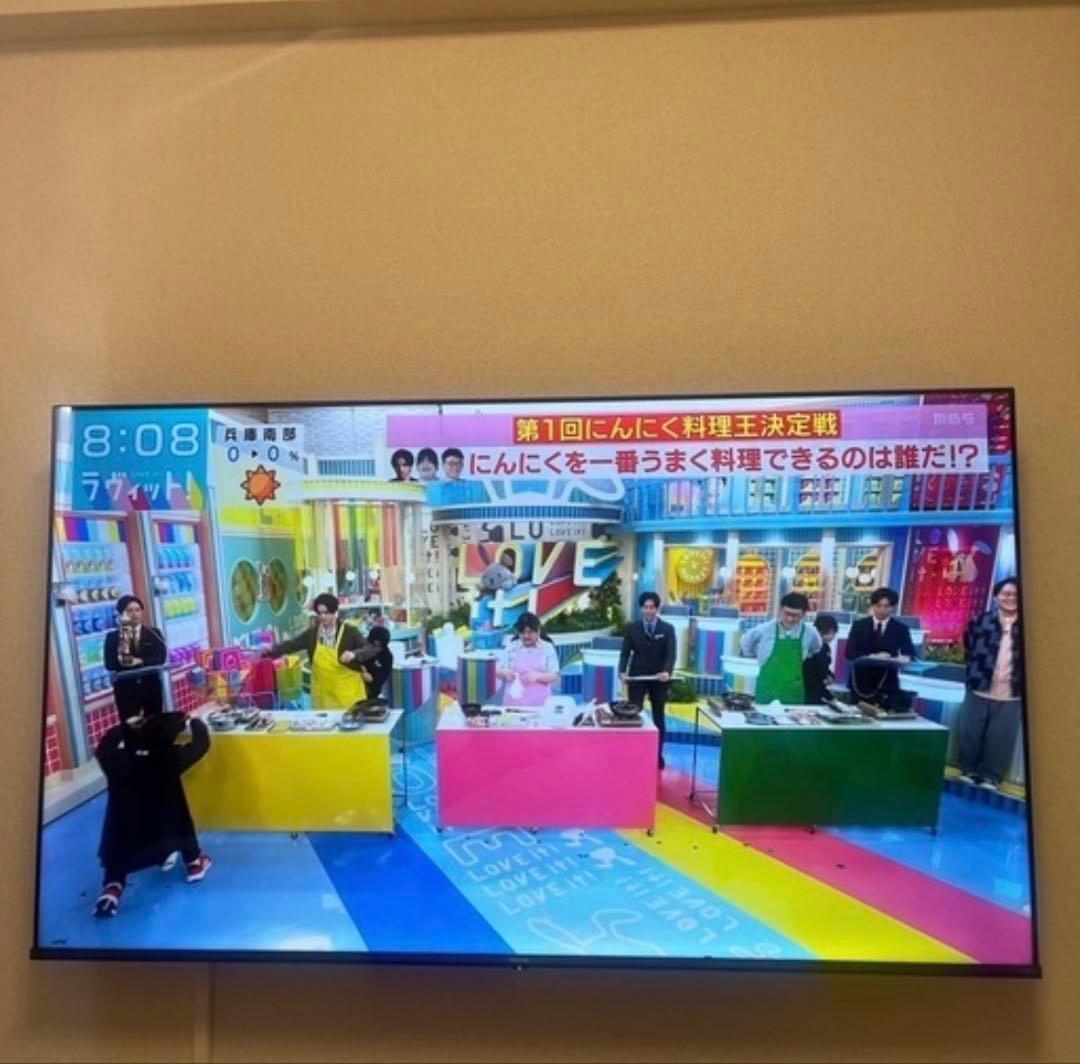 65E6G 65インチ液晶テレビ