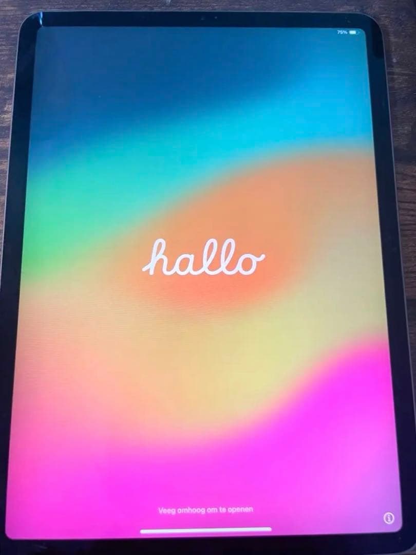 Apple iPad スペースグレー 本体 充電器付き