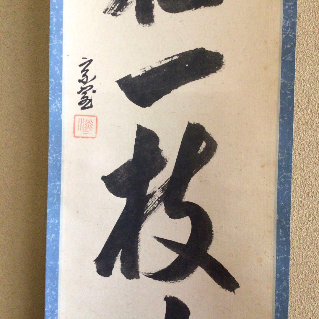 裏千家淡々斎直筆　一行書　春在一枝中　共箱　14代千宗室茶掛け掛軸