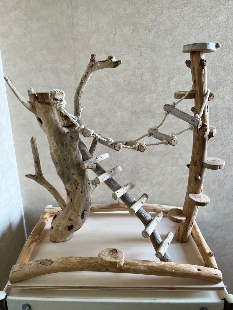 鳥インコ止まり木バードジムバードアスレチック卓上型