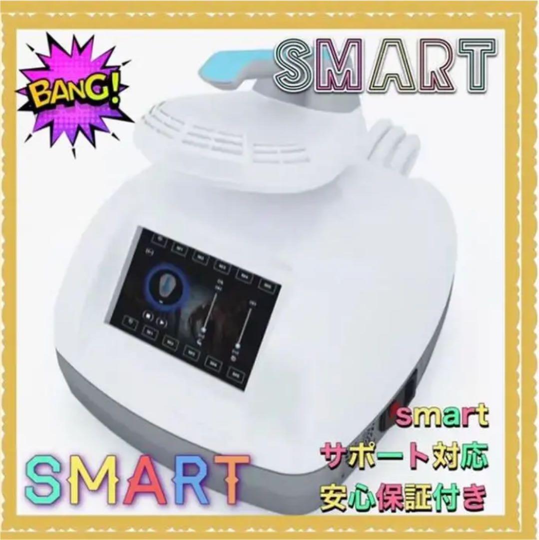 業務用 最新2021 正規本格　EMS