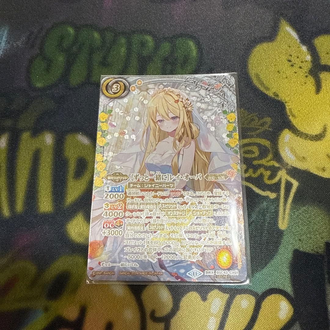 ［ずっと一緒に］　レイ・オーバ　シークレット