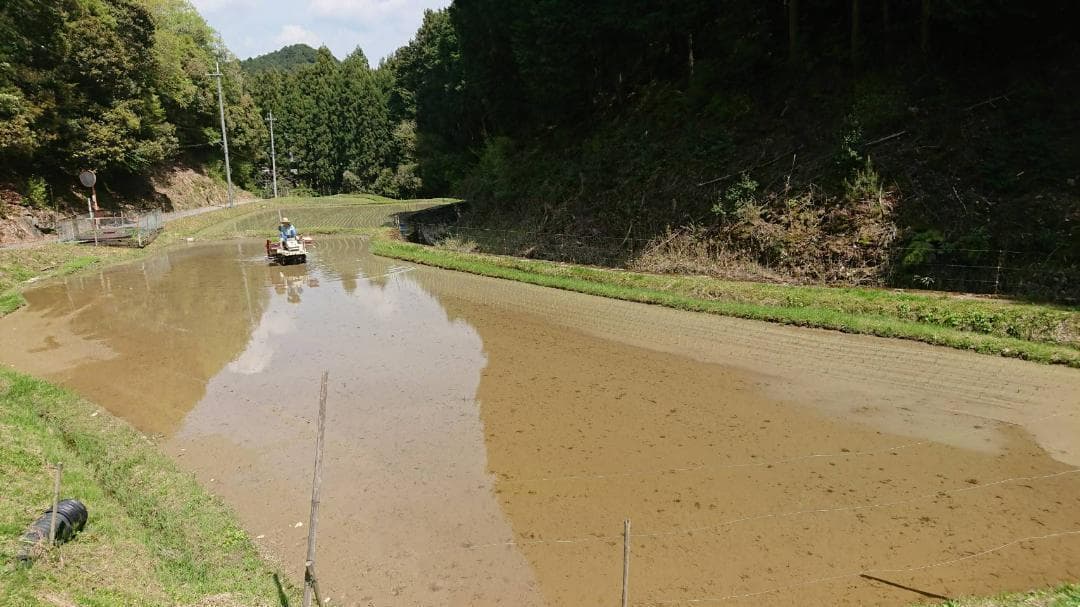 令和7年度 【湧き水栽培】農薬不使用玄米　ひのひかり 20㎏　奈良の農家直送