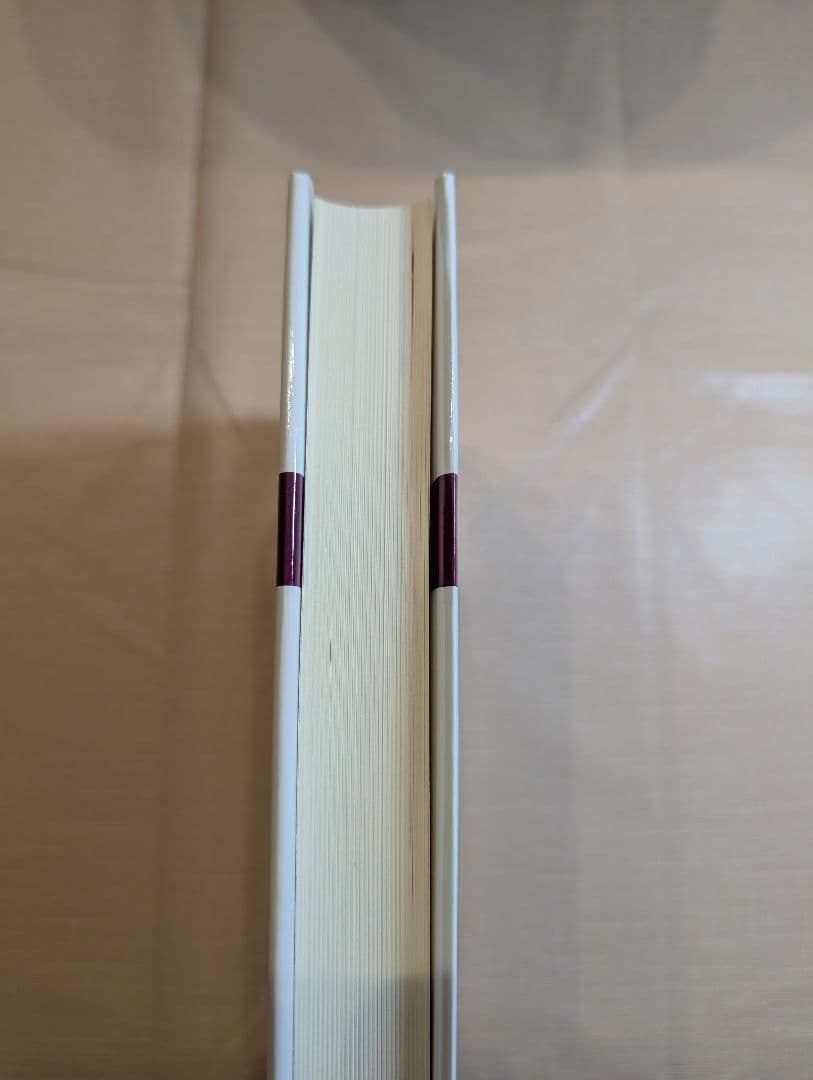 省察的実践とは何か ドナルド・A・ショーン