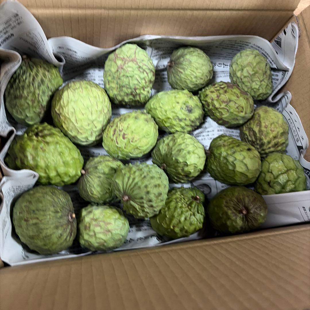 箱番号8. 訳あり規格外サイズです！１kgあたり1100円 9.5kg