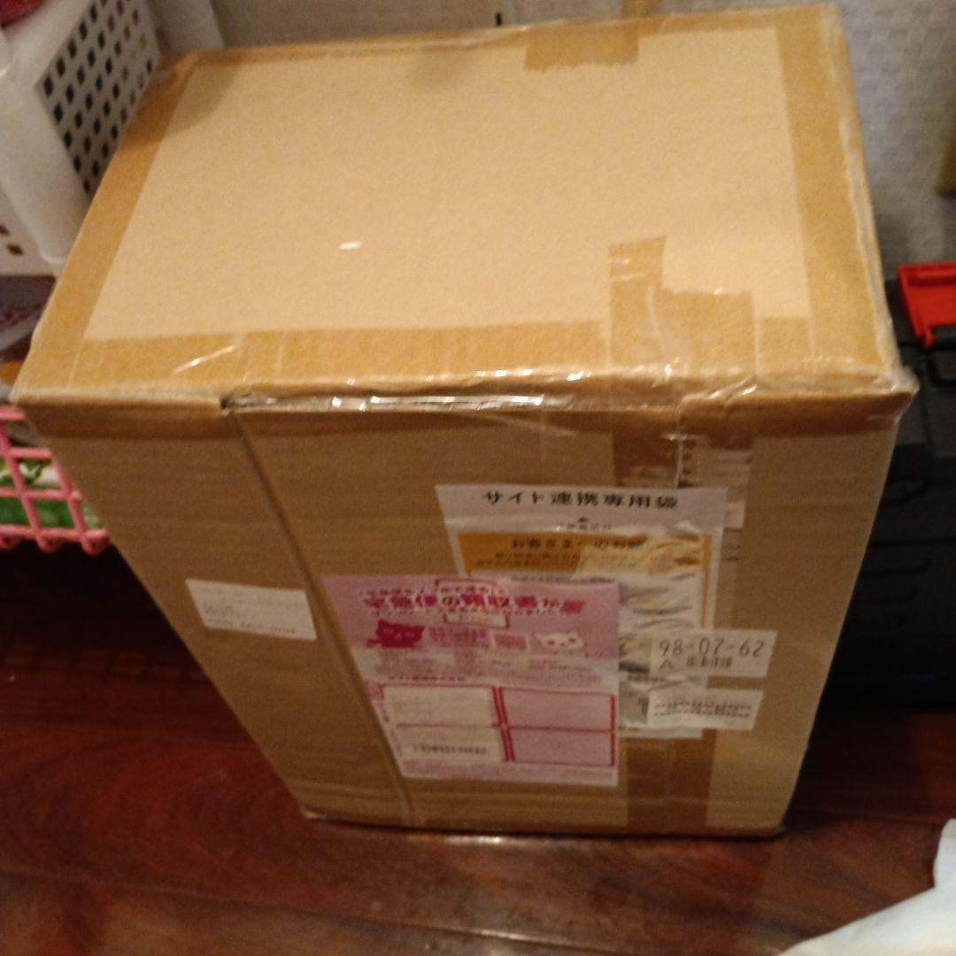 【24年製】IRIS OHYAMA リンサークリーナー RNS-300