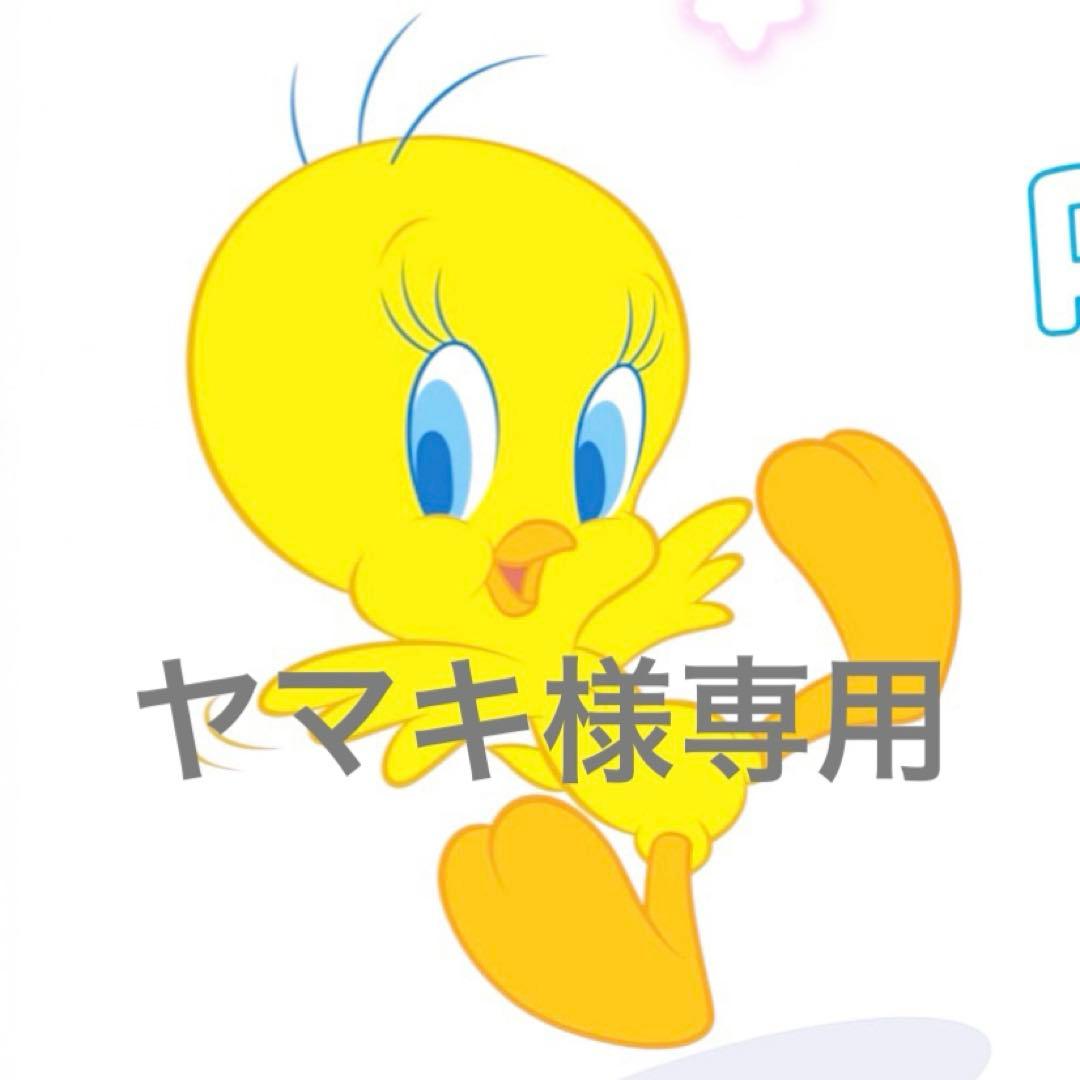 スーパーマリオ 3Dコレクション　スイッチ