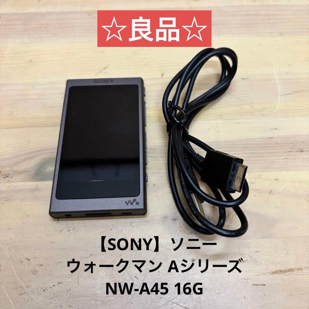 SONY ウォークマン Aシリーズ NW-A45 16G