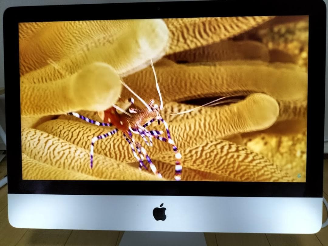 iMac 21.5 2015年　SSD