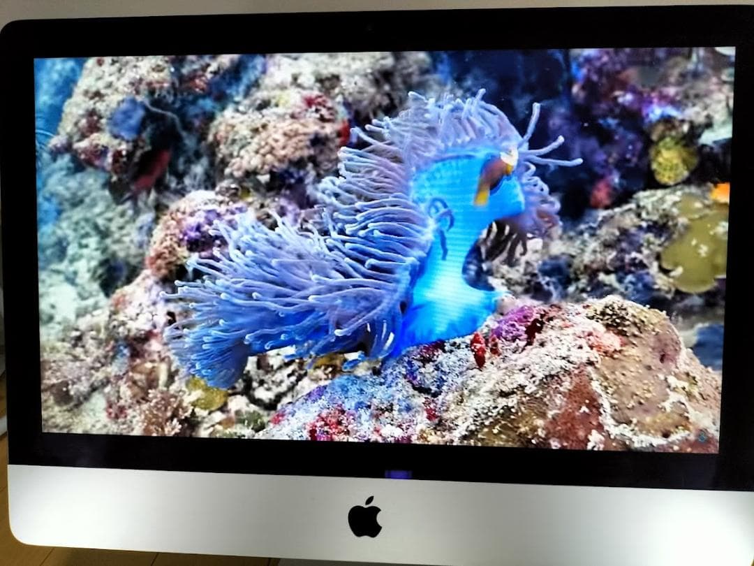 iMac 21.5 2015年　SSD