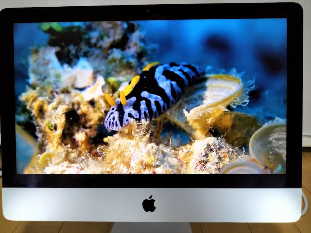 iMac 21.5 2015年　SSD