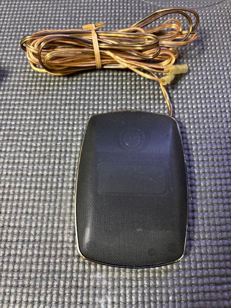 Pioneer TS-CH700A モノパワーアンプ