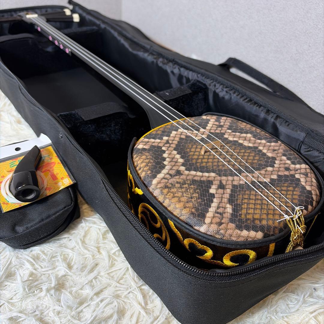 【極美品】沖縄三線　三線　人工皮　ケース付き　初心者　入門セット